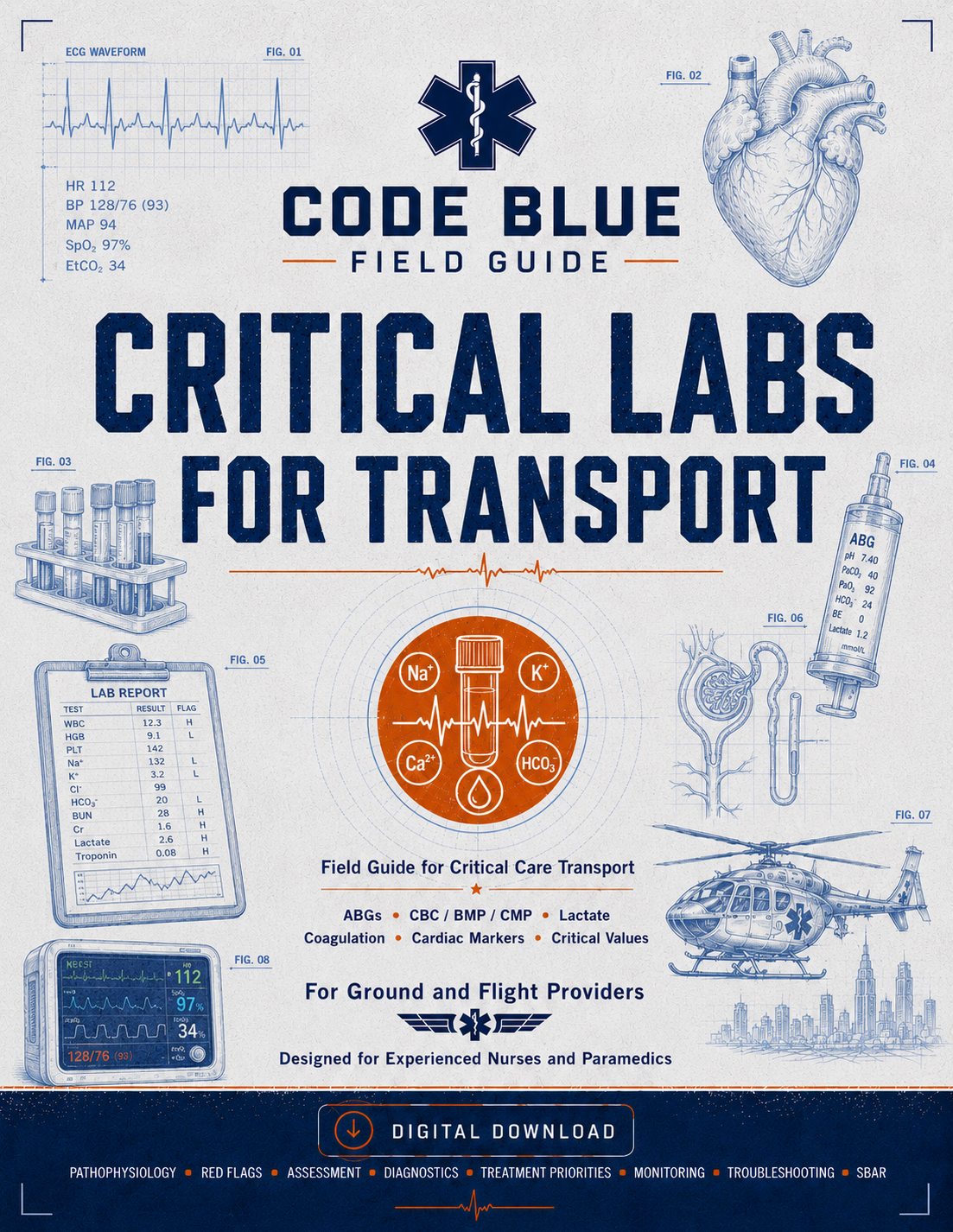 Critical Labs and Electrolyte Emergencies for Transport Field Guide PDF | EMS & CCT Reference